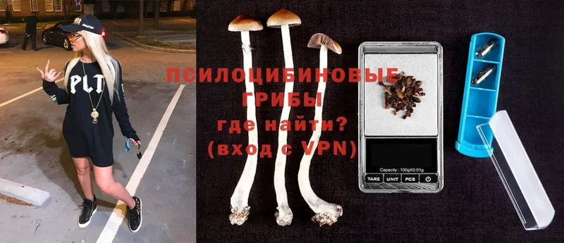 Галлюциногенные грибы MAGIC MUSHROOMS  сколько стоит  Новочеркасск 